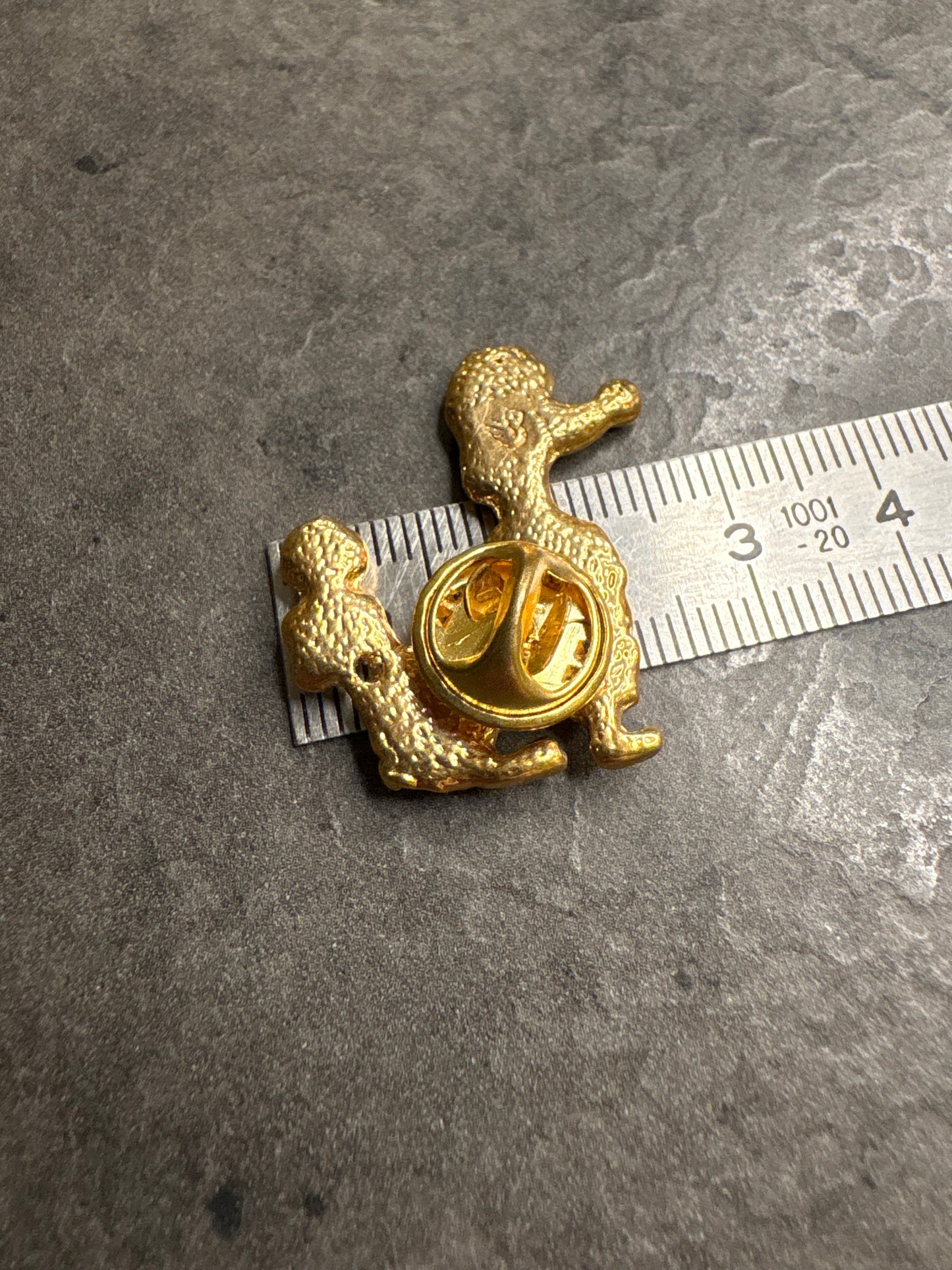 Pin Barboncino