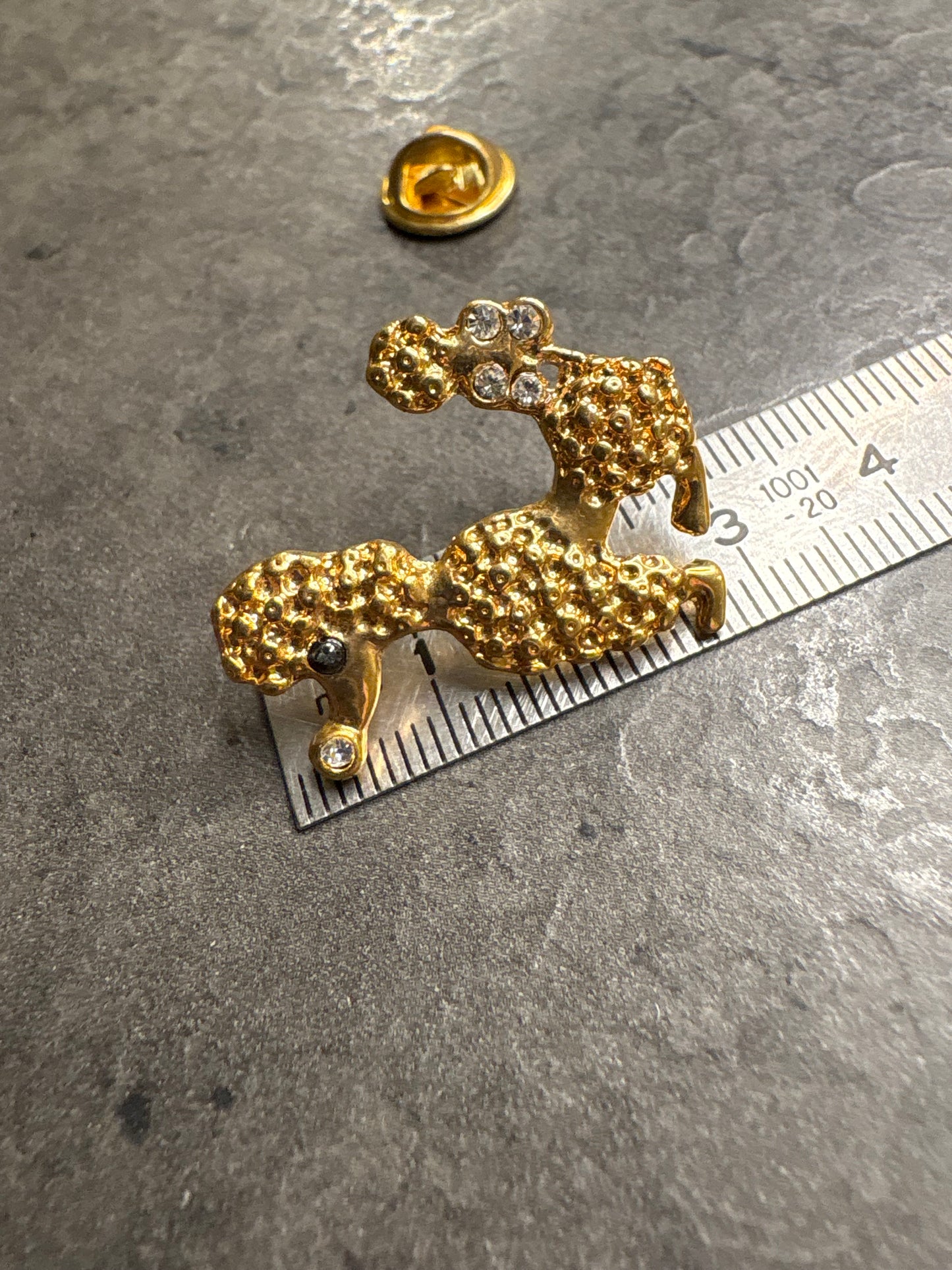 Pin Barboncino