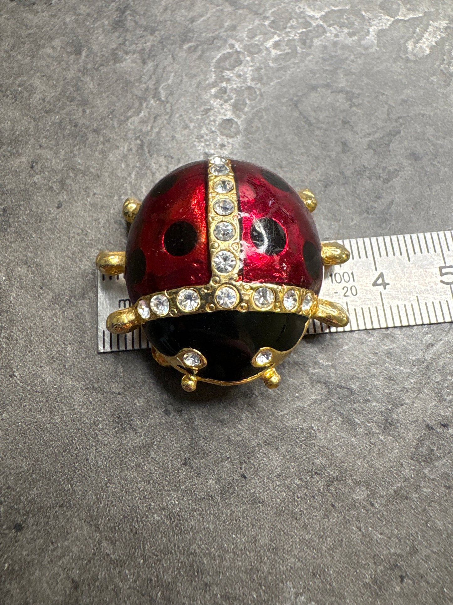 Spilla Coccinella