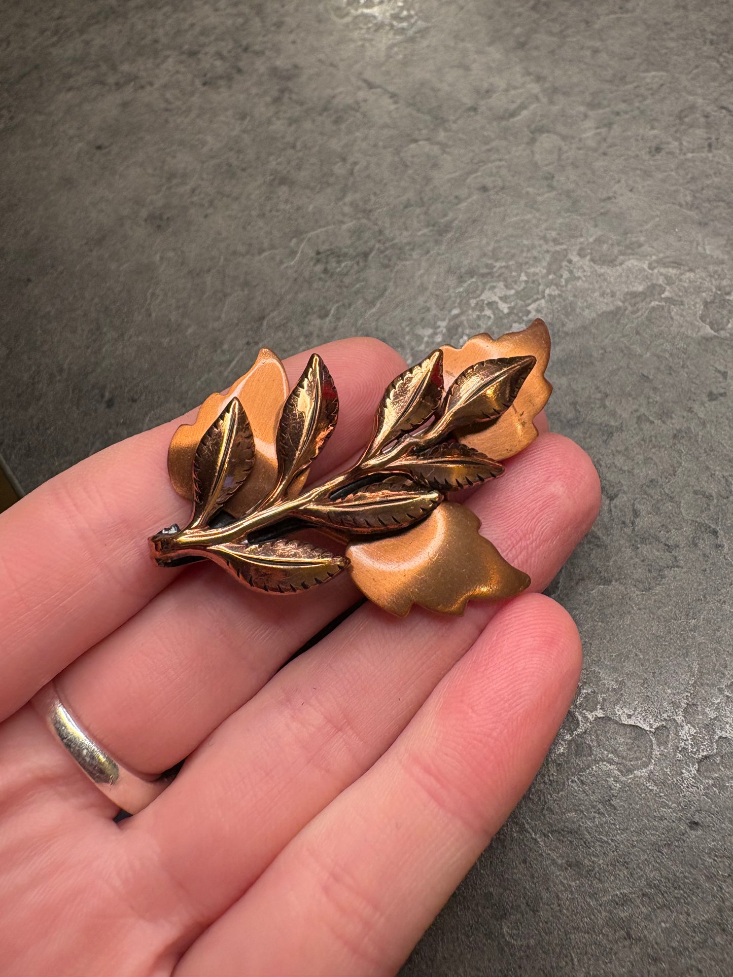 Spilla Matisse Renoir